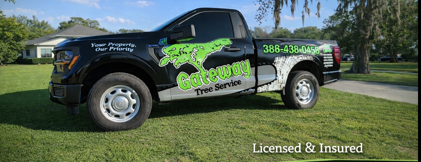 Info about Gateway Tree Service